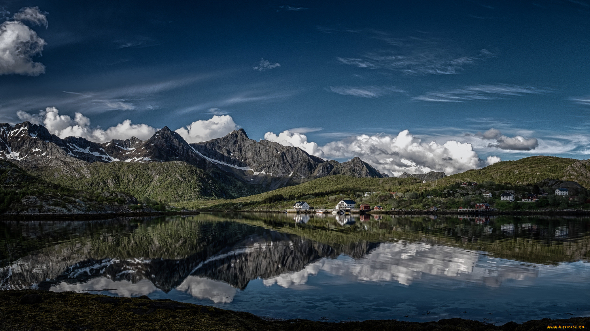 , , , kalle, lofoten, norway, , , , , , , , , , , 